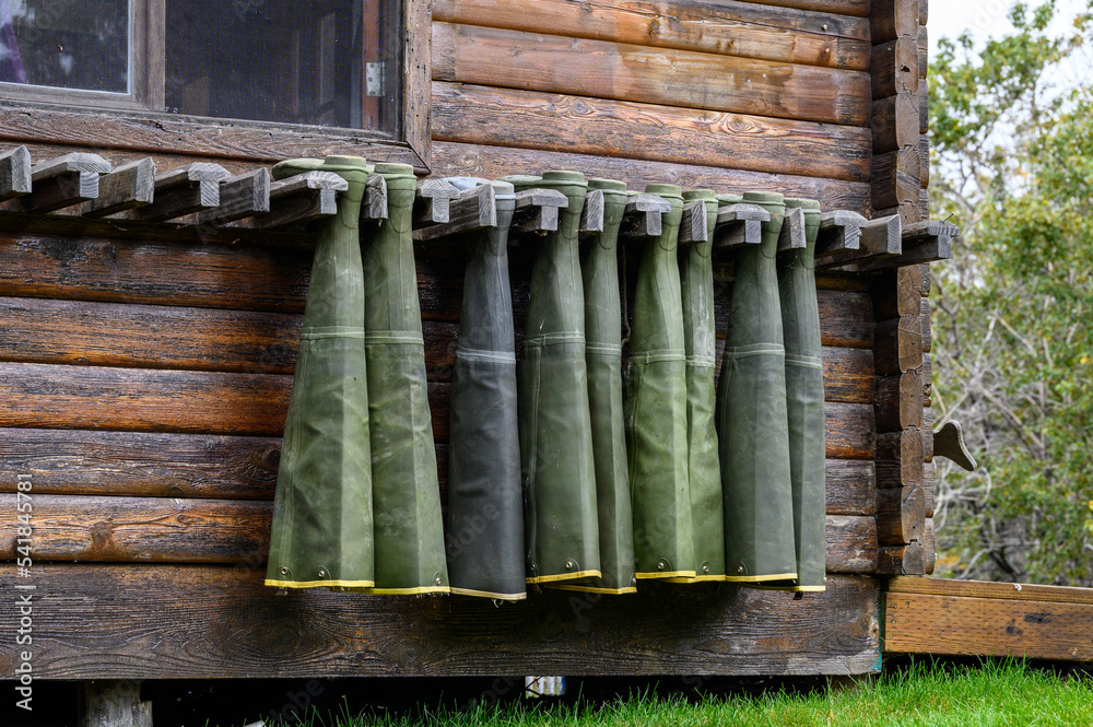 Collection of hip waders hanging up drying outside on a rustic wood