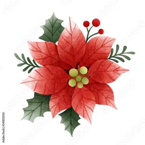 christmas flower