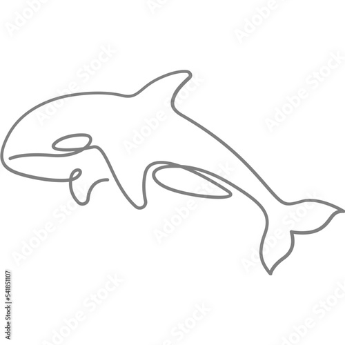 Killer whale Orca continuous line art minimal style vector illustration. Mono lineal design.