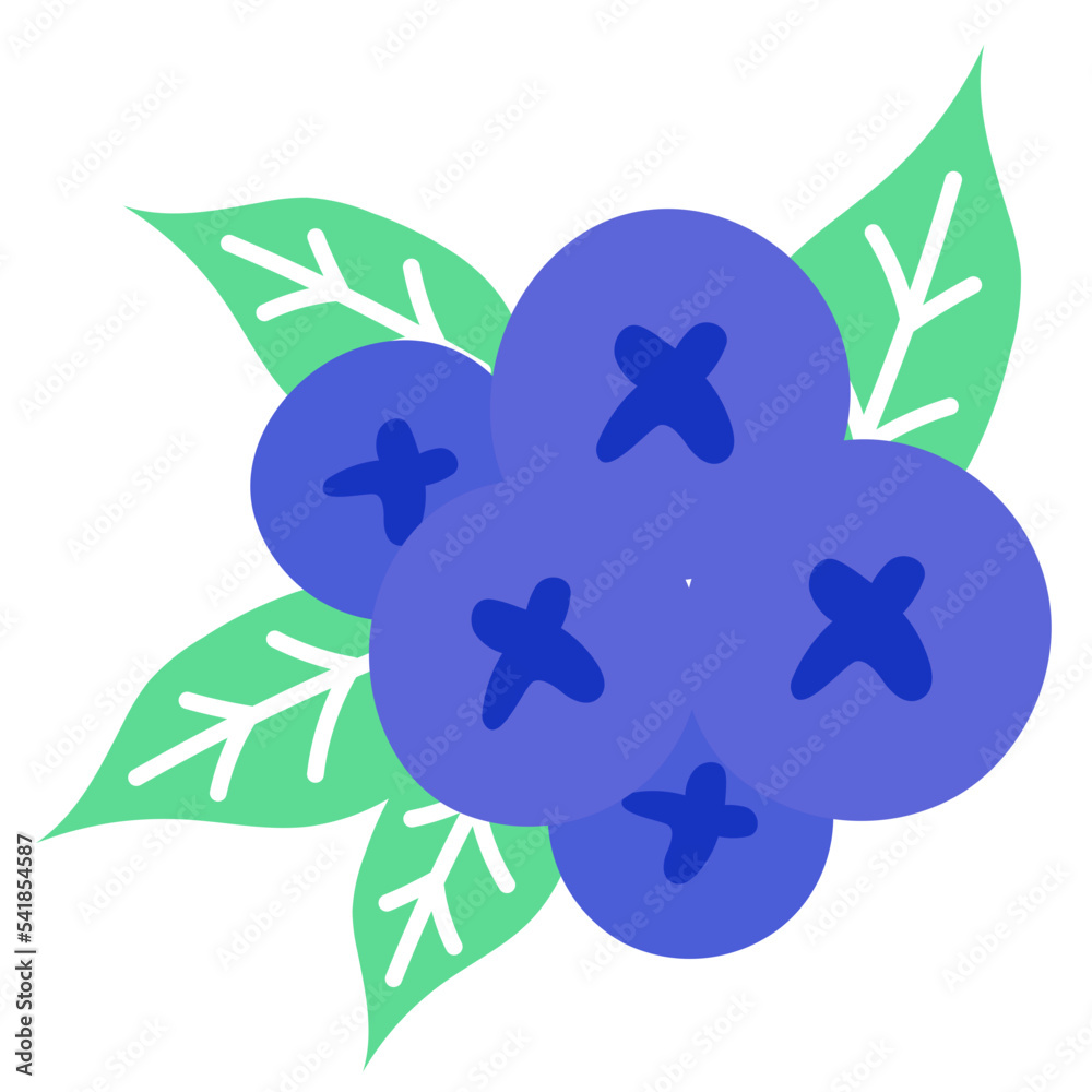blueberry fruit food organic healthy vegan berry doodle flat blueberry fruit food organic healthy vegan berry doodle flat
