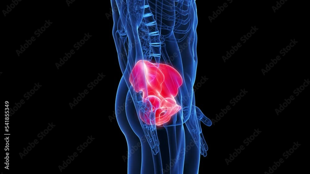 3d rendered medical animation of the hip bone StockVideo Adobe Stock