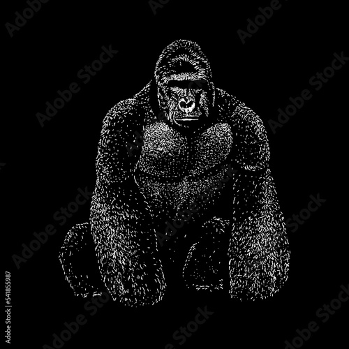 Western Lowland Gorilla hand drawing. Vector illustration isolated on black background.