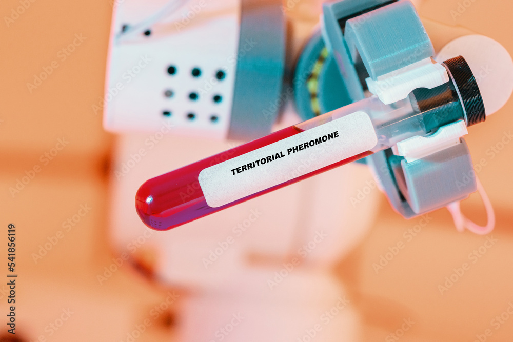 Territorial Pheromone In test tube in biochemical lab Territorial pheromones mark the boundaries and identity of an organism's territory.