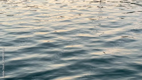 夕日に照らされる波模様