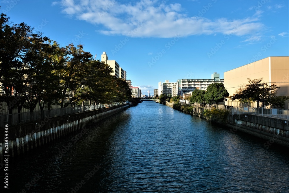 Fototapeta premium 大阪、都市、風景、川、橋、秋