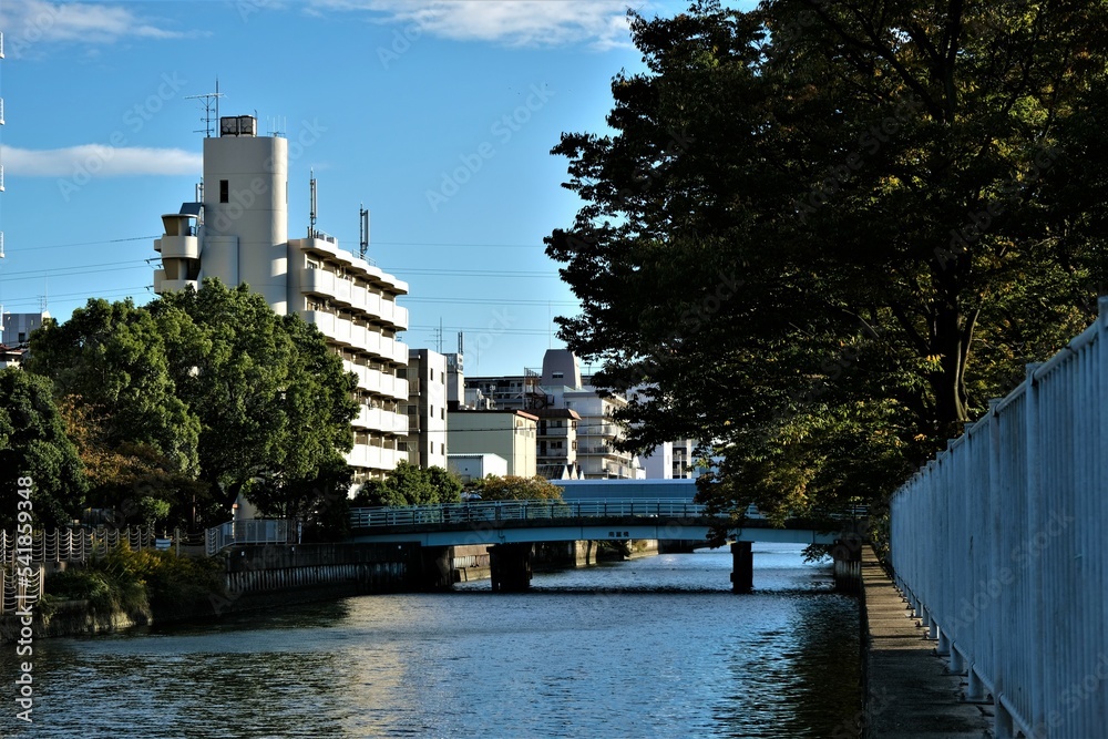 大阪、都市、風景、川、橋、秋