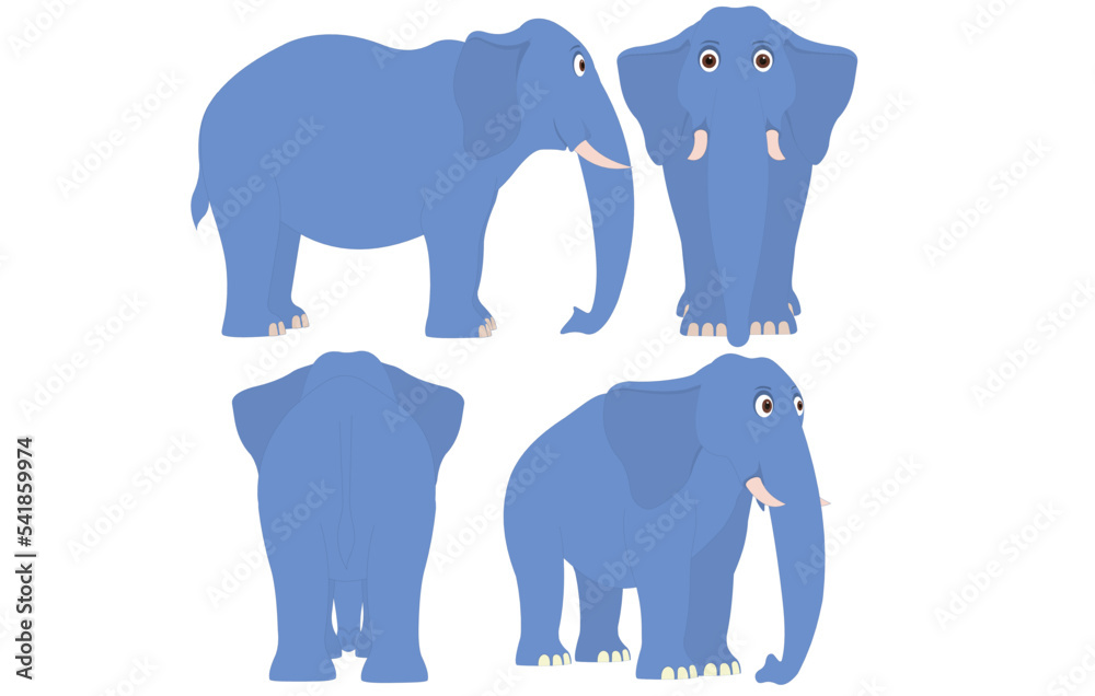 elephant Turnaround Vector elephant Turnaround Vector