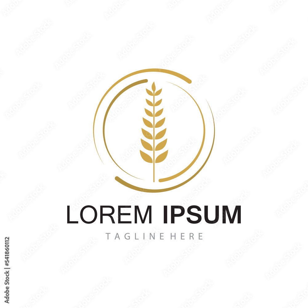 Agriculture wheat vector