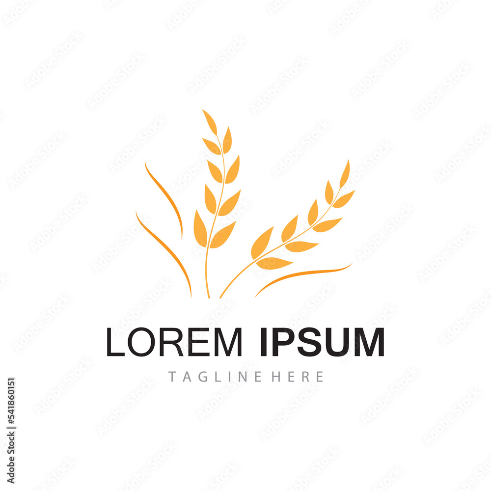 Agriculture wheat vector
