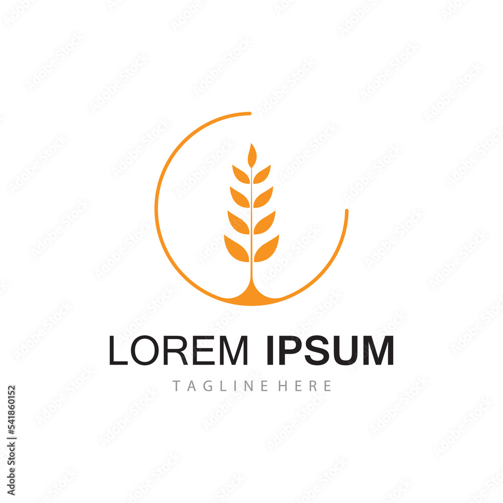 Agriculture wheat vector Agriculture wheat vector