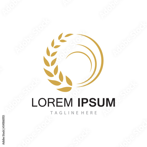 Agriculture wheat vector