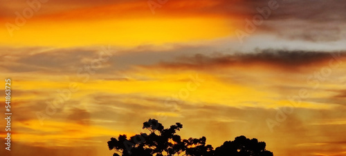 Beautiful sunset sky, the sun leaving bright golden shades background with clouds in sunny day. You can use for background, Texture, Wallpaper and the other site. Vector illustration.
