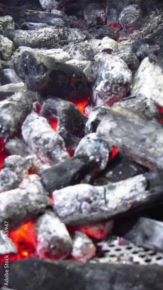 Vertical Shot - Chicken Boti kabab - or pinging grill chef, barbeques on the Coal. - HD Vertical Shot - Chicken Boti kabab - or pinging grill chef, barbeques on the Coal. - HD