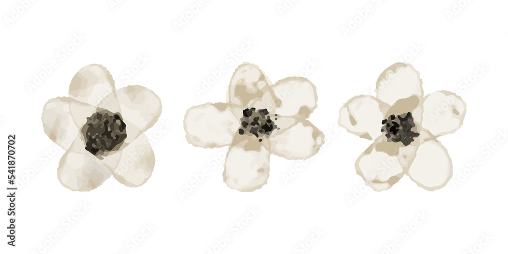 set of brown flowers illustration in watercolor style Stock Vector
