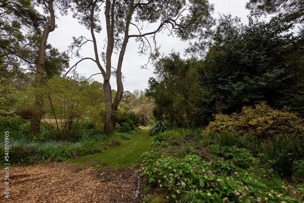 Spring garden Garden of Erth in Blackwood, Victoria Australia Spring garden Garden of Erth in Blackwood, Victoria Australia