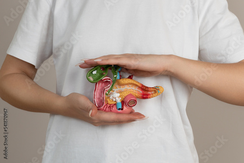 woman holding pancreas in the hands. Help and care concept