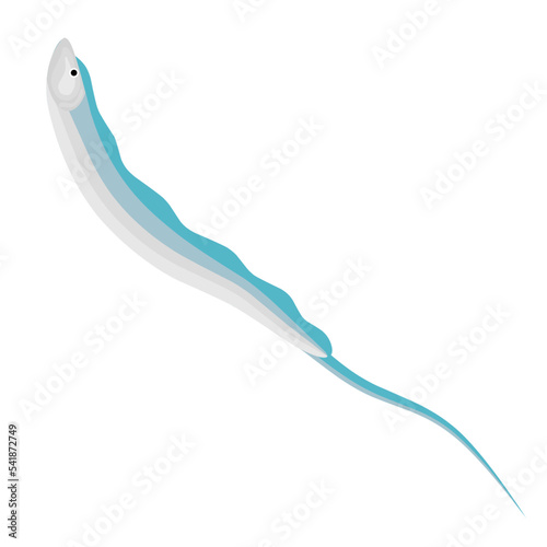 Vector illustration of a hairtail on a white background. This marine fish is famous for its large head and long and slender shape. This fish is distributed in tropical and temperate waters.