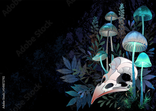 Bird skull with mushrooms