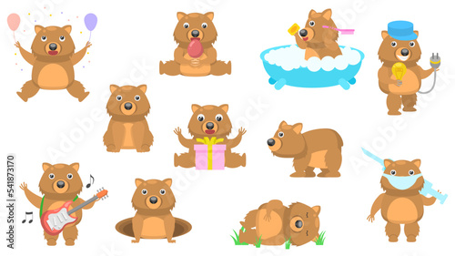Big Set Abstract Collection Flat Cartoon Different Animal Wombats Vector Design Fauna Wildlife