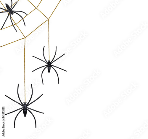 Black spiders hang on a golden web isolated on white