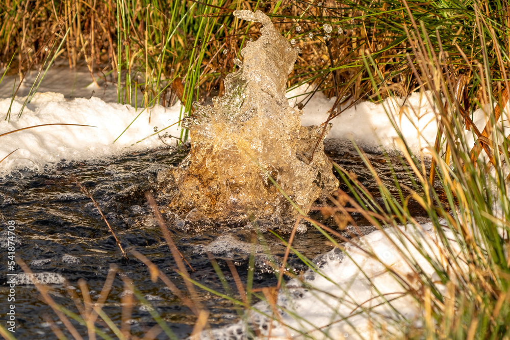 Close-up of a water source that blows up bubbling water. Spring, snow melt, dry grass everywhere. Day, cloudy weather, soft warm light in winter