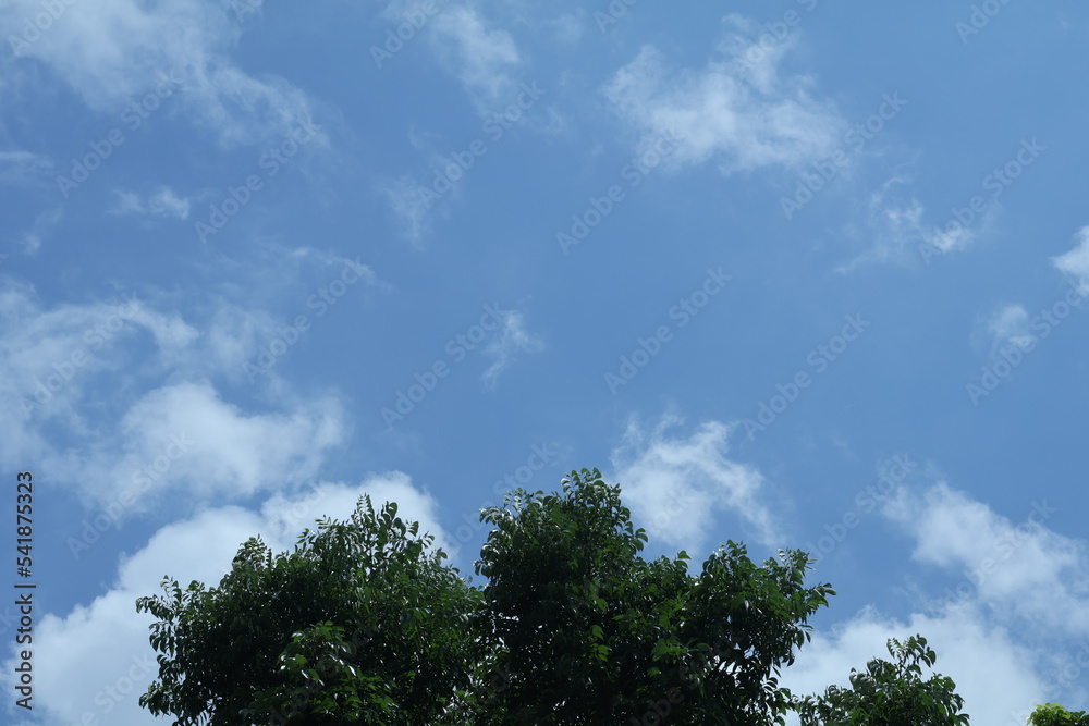 beauty of nature with clouds and sky beauty of nature with clouds and sky