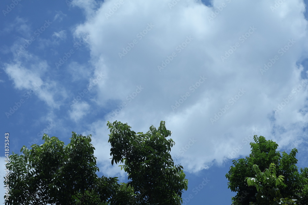 beauty of nature with clouds and sky
