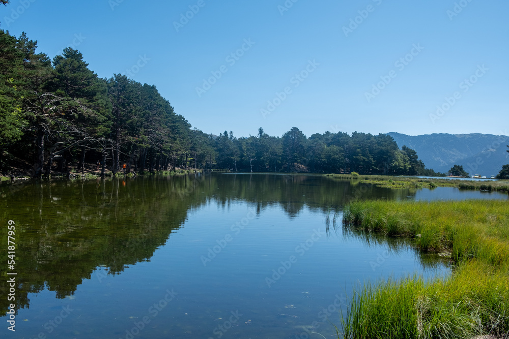 magnifique vue sur un lac de montagne avec reflet sur l'eau