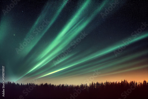 Painting of panoramic northern light and forest landscape  © xjrshimada