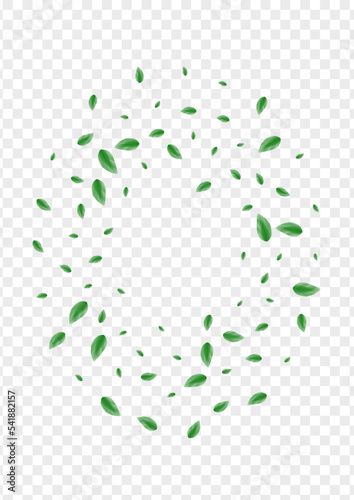 Greenish Sheet Background Transparent Vector. Vegetation Simple Frame. Wind Texture. Green Clear Design. Greenery Space.