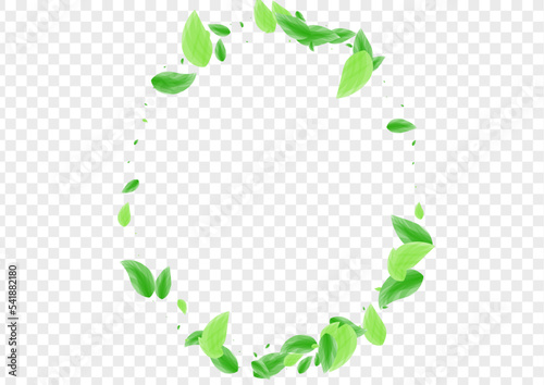 Light Green Leaves Background Transparent Vector. Vegetation Nature Illustration. Blend Design. Greenish Subtle Texture. Sheet Summer.