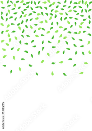 Green Leaf Background White Vector. Plant Flora Card. Cosmetic Texture. Light Green Branch Design. Greenery Twig.