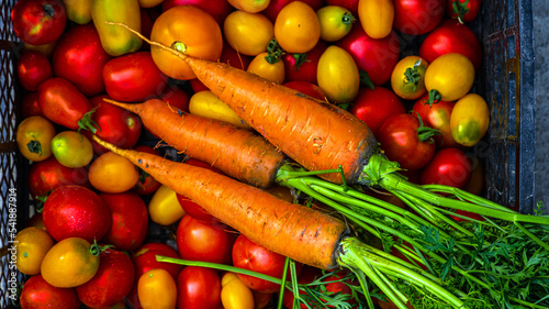 tomatoes  carrots on the table.Carrots  tomatoes just picked in the garden on wooden boards. carrots   tomatoes.