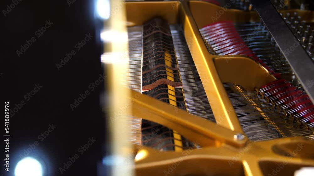 Vidéo Stock Closeup of the dampers and hammers of vintage grand piano