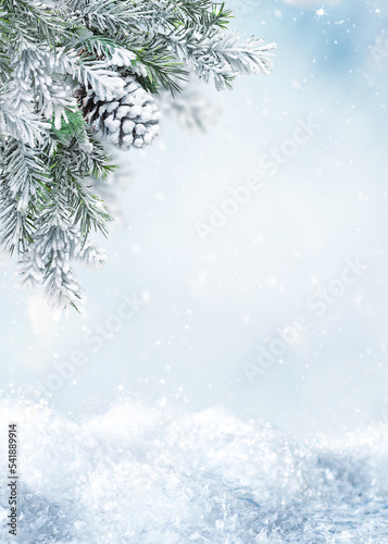 Beautiful Winter Landscape with snovy Fir Tree Branches and Cones in Snowy Forest. Christmas and New Year greeting card. Winter banner with copy space. © Svetlana Kolpakova
