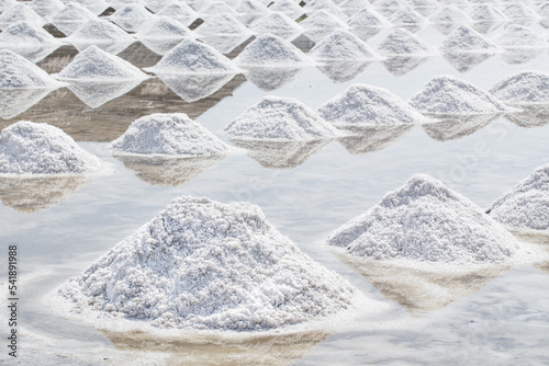 salt piles in the Saline from Samutsakorn, Thailand