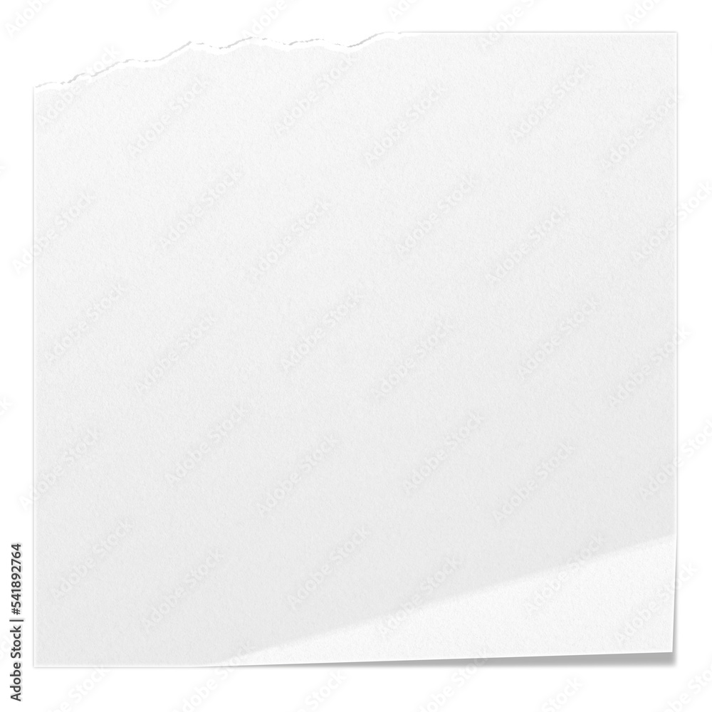 Biała pusta składana kwadratowa karty. Rozdarty arkusz papieru. Jedno zagięcie na kartce. - obrazy, fototapety, plakaty 