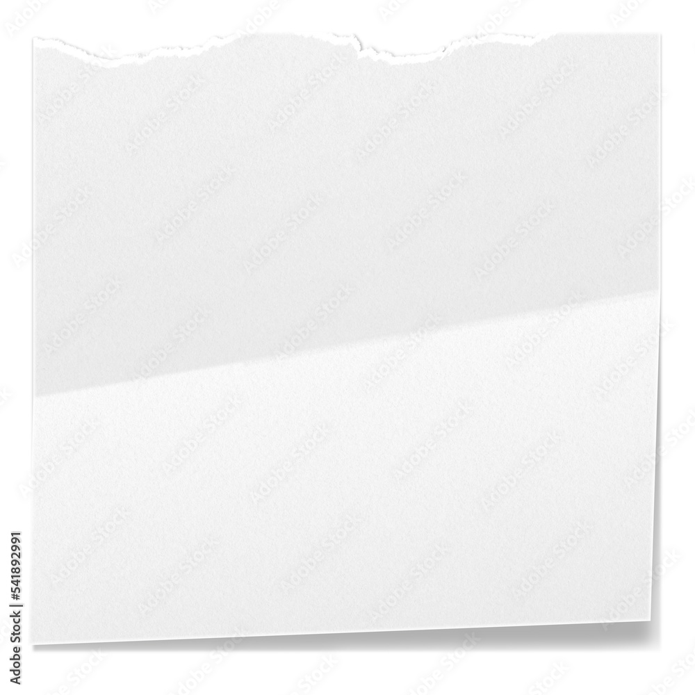 Biała pusta składana kwadratowa karty. Rozdarty arkusz papieru. Jedno zagięcie na kartce. - obrazy, fototapety, plakaty 