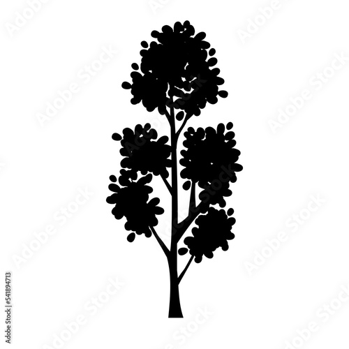 Tree silhouette. Vector illustrations for landscapes or floral designs.