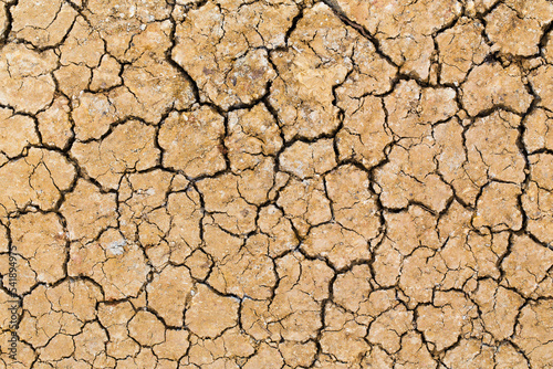 Barren ground. Dry and cracked earth background