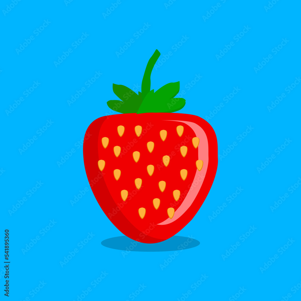 Fototapeta premium strawberry fruit vector illustration
