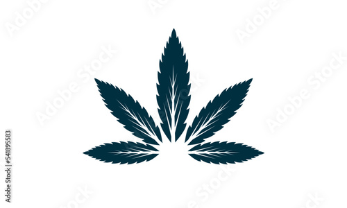 cannabis leaf isolated on white background