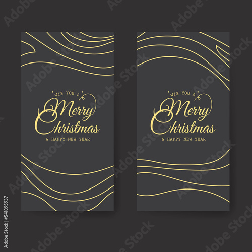 luxury poster template vector