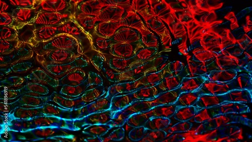 Abstract colorful fluid background of vibrant neon colors and patterns