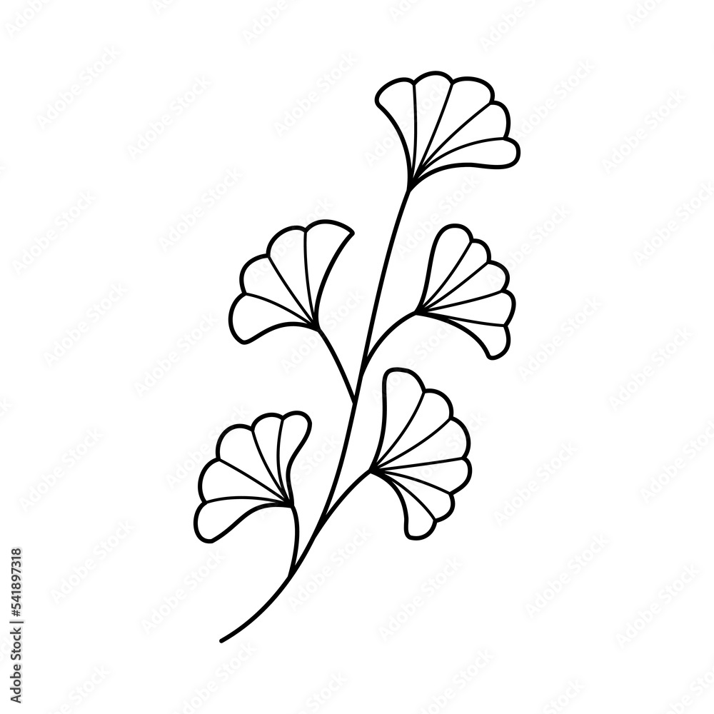 Doodle line art floral branch. Hand drawn twig, monochrome linear garden floral elements
