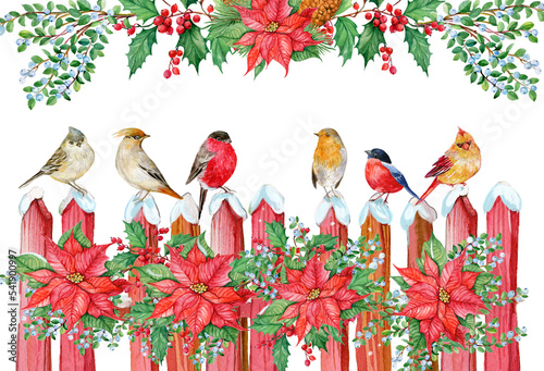 Canvas Print Christmas card winter birds ,Watercolor hand painting