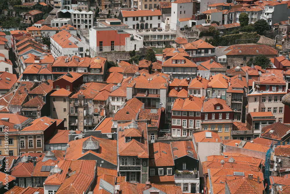 Porto cityscape with buldings and orange rooftops, horizontal