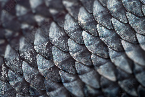 Diagonal pattern of fish scales