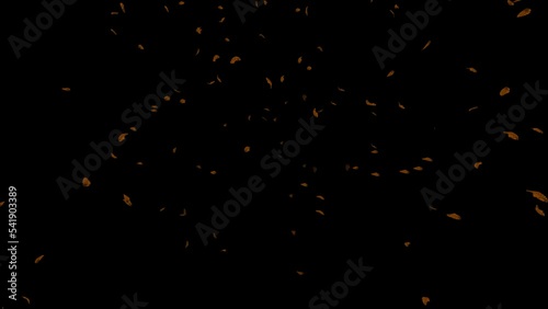 HQ 3D animated falling autumn leaves with alpha channel, perfectly looped.