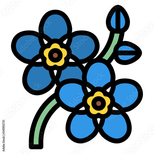 myosotis flower
